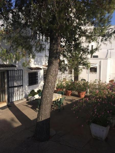 Azienda Agrituristica Masseria Campi San Vito dei Normanni Exterior foto